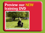 Preview our New Dog training courses